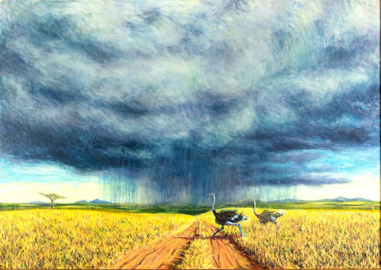 Tempestade africana, 2016, de Tilly Willis