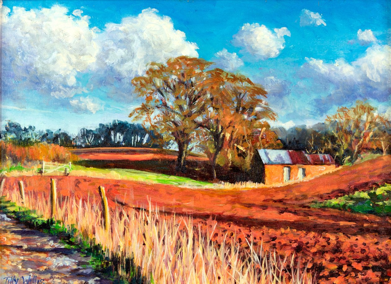 Celeiro do país, 2014, de Tilly Willis