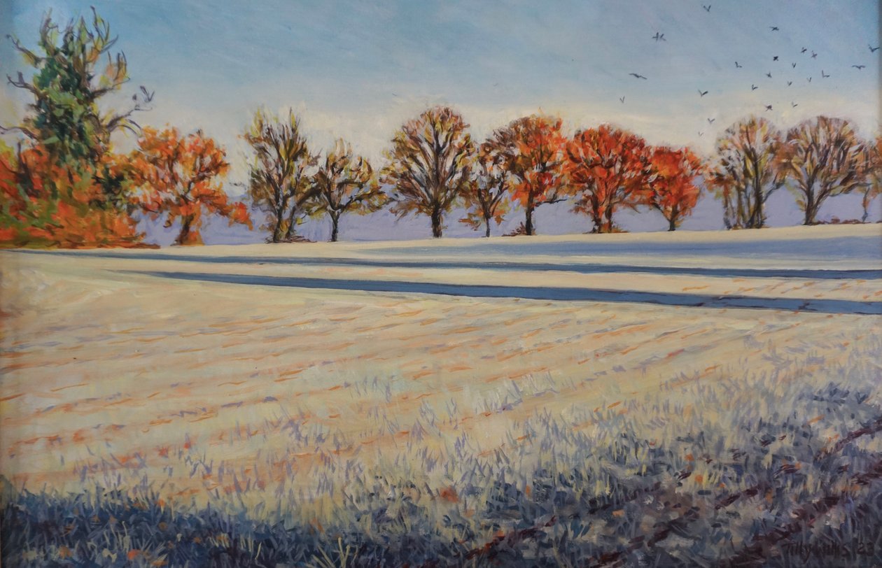 Geada no campo, 2024 (óleo sobre tábua) de Tilly Willis
