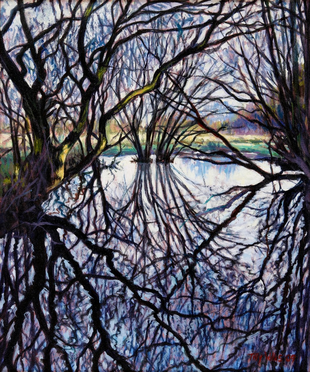 Reflexões Pond, 2009 de Tilly Willis