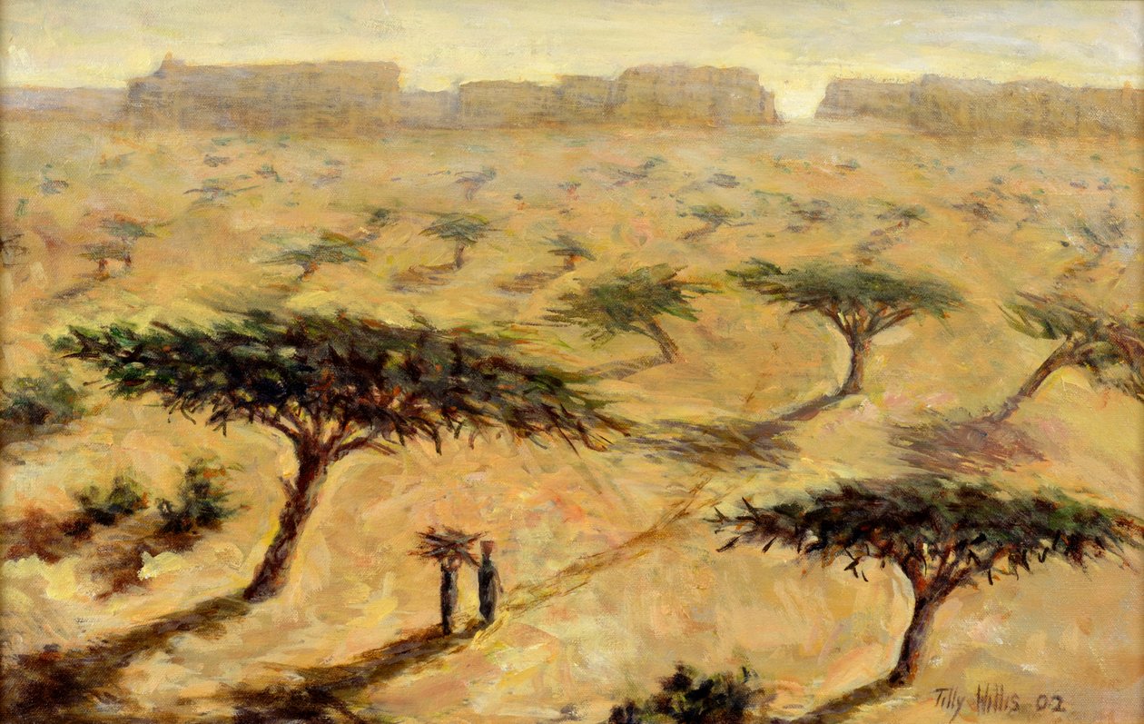 Paisagem Saheliana, 2002 de Tilly Willis