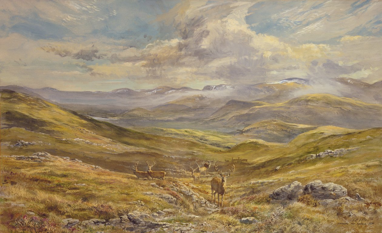 Cairngorms de Kinrara, 1988 (wc) de Tim Scott Bolton