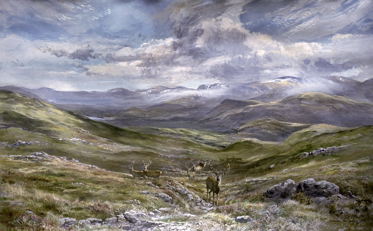 Kinrara, Aviemore, Escócia, 1988 (wc no papel) de Tim Scott Bolton