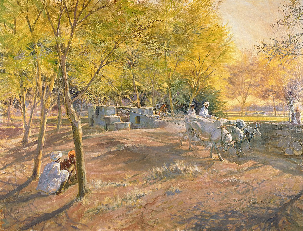 Trabalhando para a água, Rajasthan, 1997 de Tim Scott Bolton
