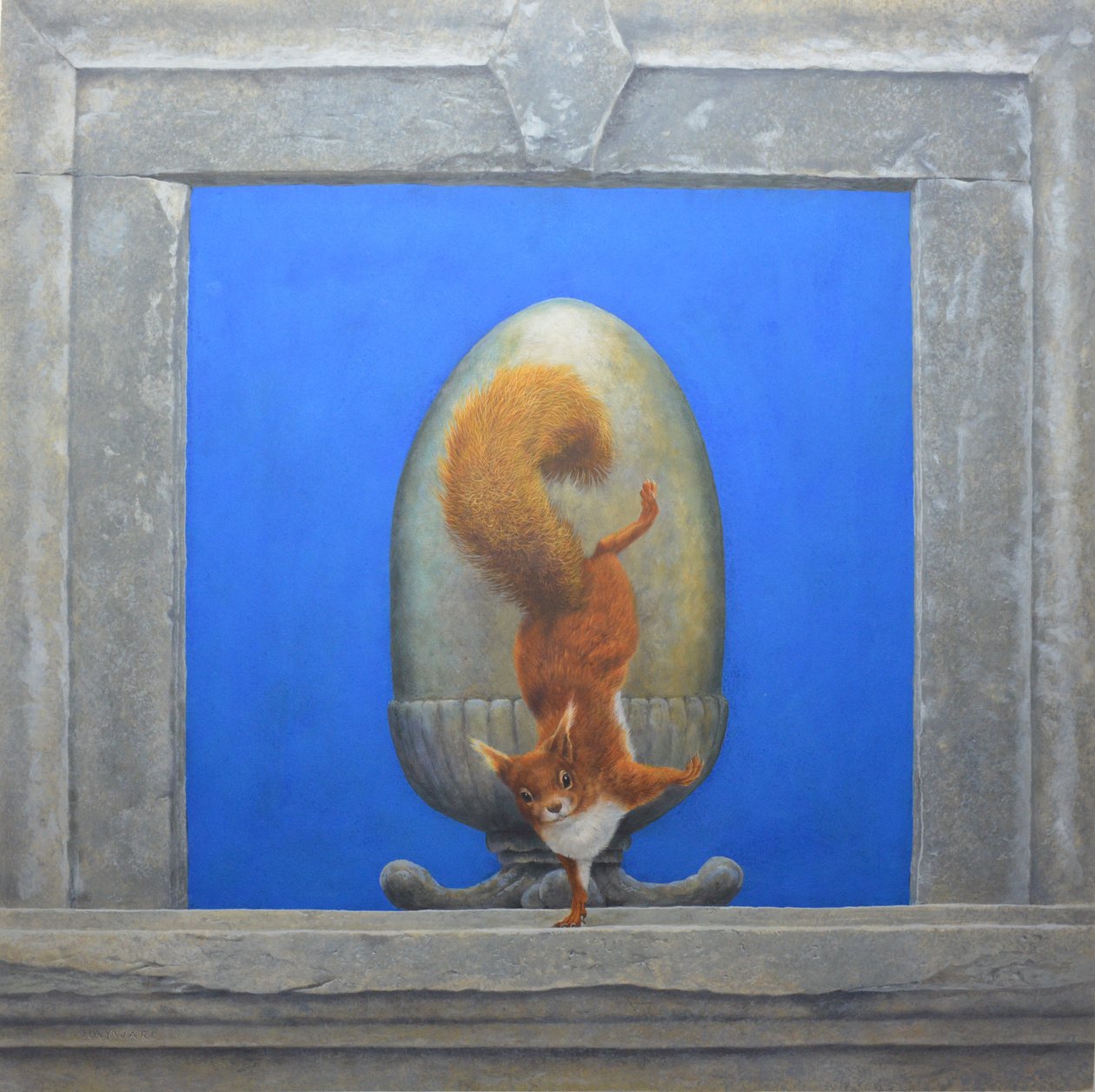 Esquilo vermelho, lacrobata de Tim Hayward