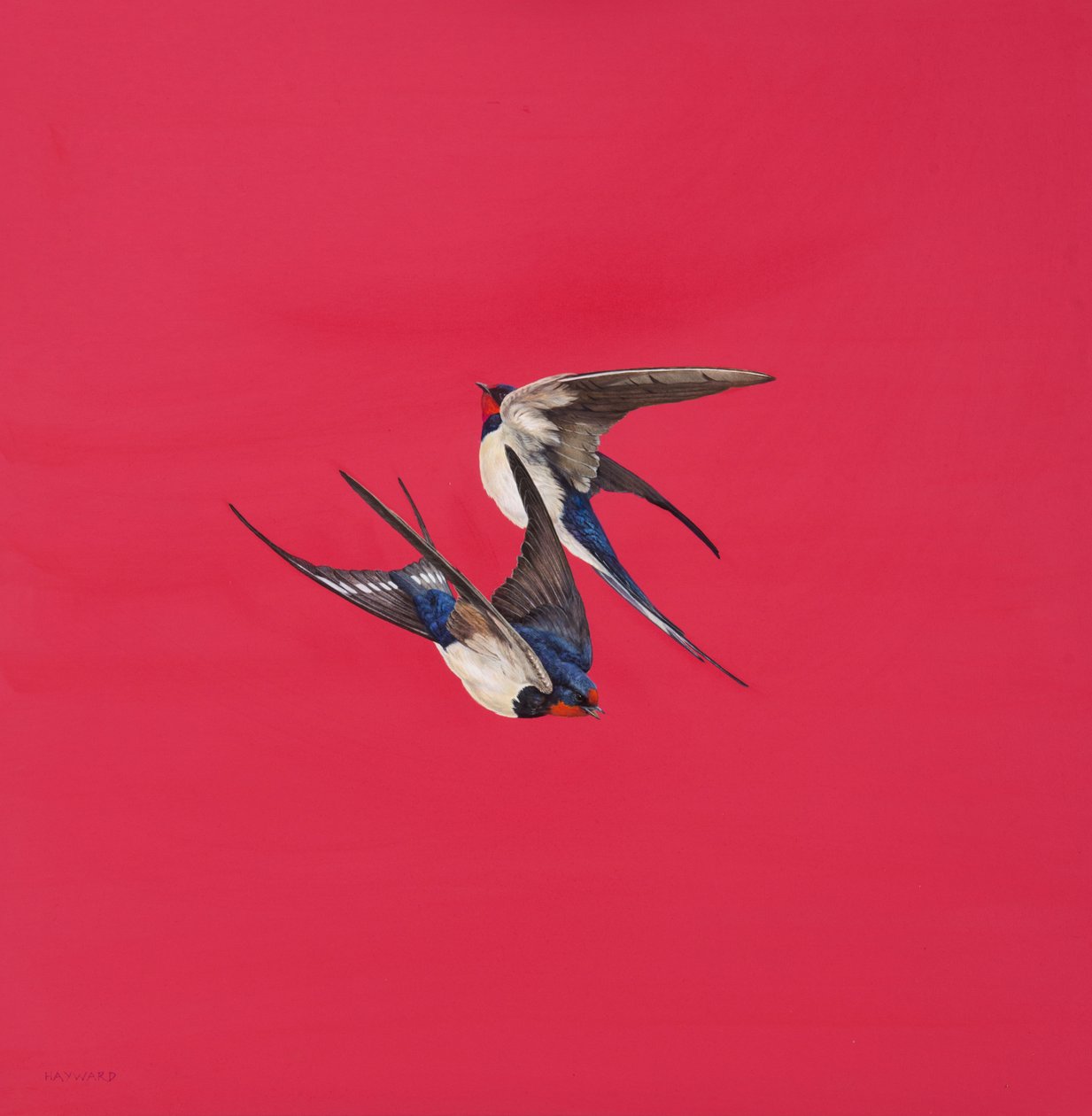 Redemoinho-Vermelho, Aguarela e guache no quadro da Aguarela, 50,8 x 50,8 cm de Tim Hayward