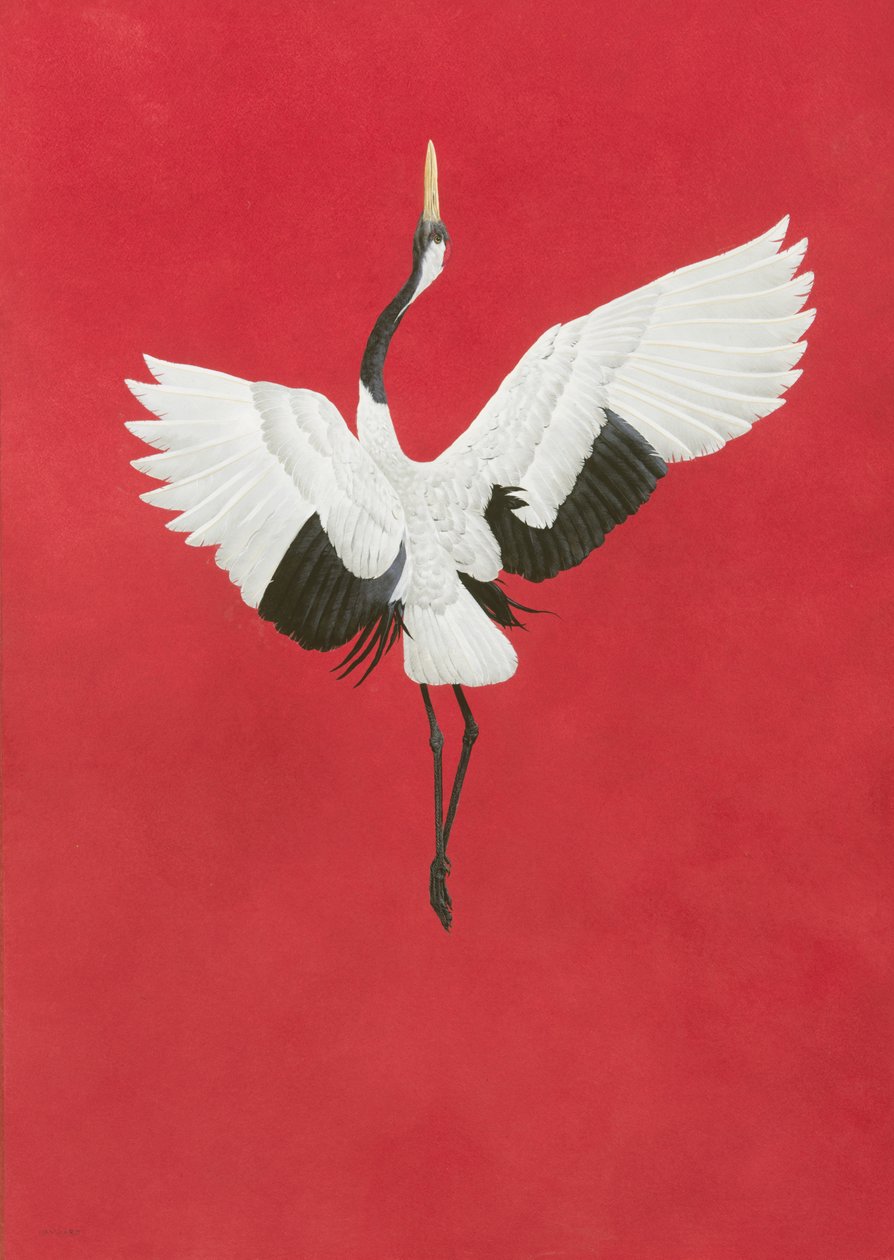The Dance-Red, Aguarela e guache em Arcos 640 g - m², 96 x 66 cm de Tim Hayward