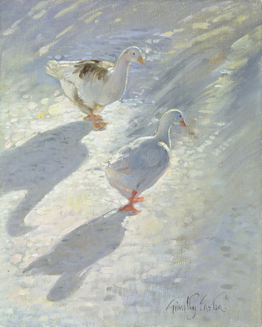 Contra o declive de Timothy Easton