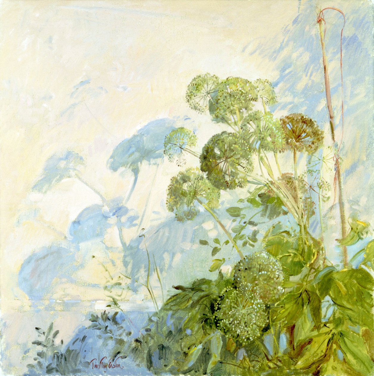 Angelica Shadows de Timothy Easton