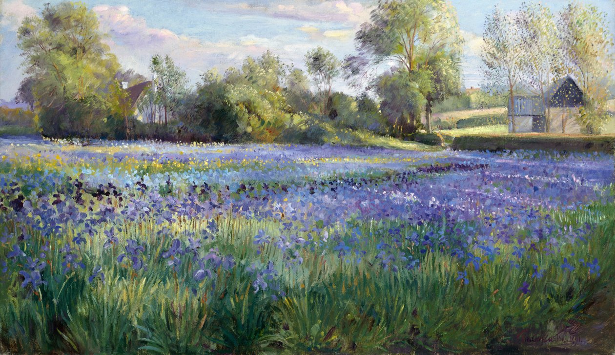 Luz Dappled no campo da íris, 1991 de Timothy Easton