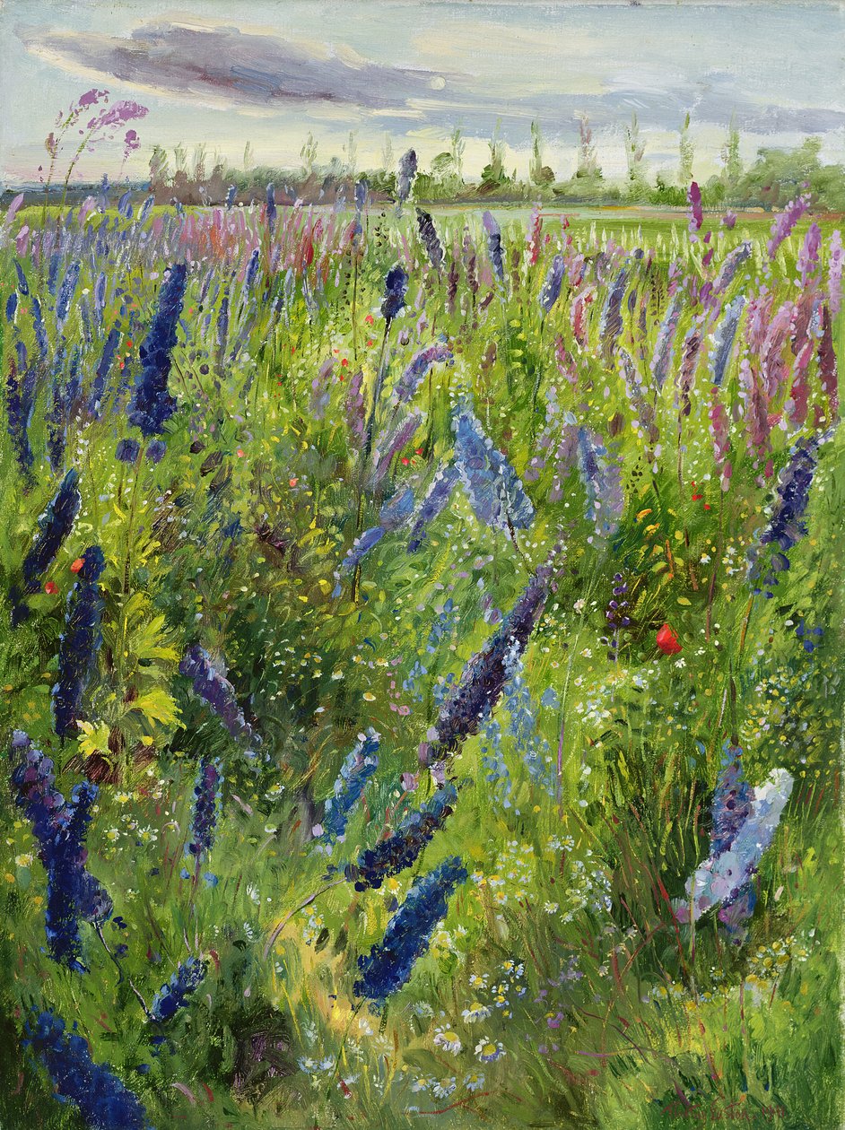 Delphiniums and Emerging Sun, 1991 de Timothy Easton
