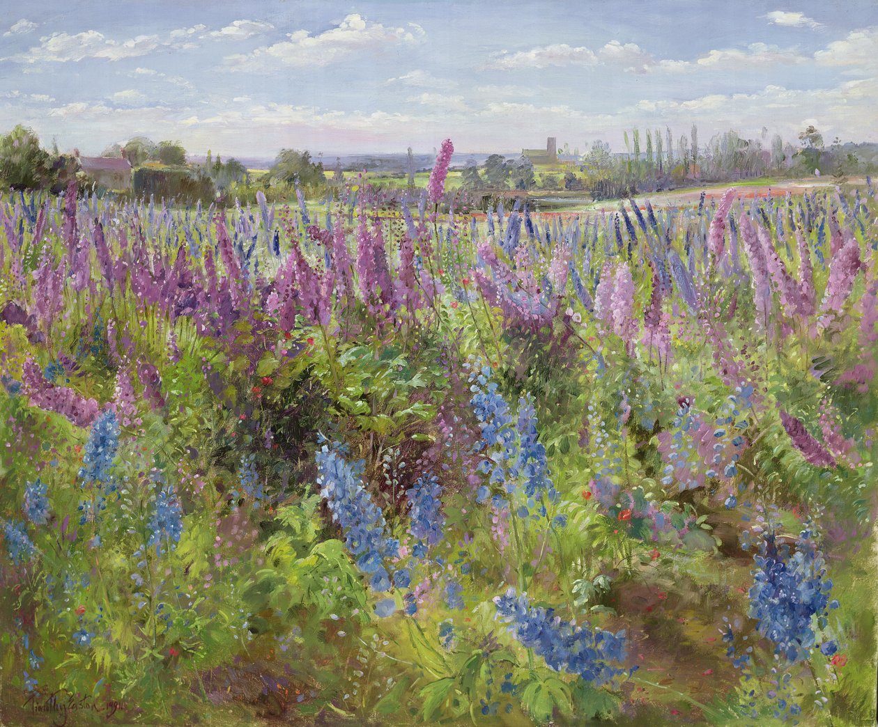 Delfínios e Papoulas, 1991 de Timothy Easton