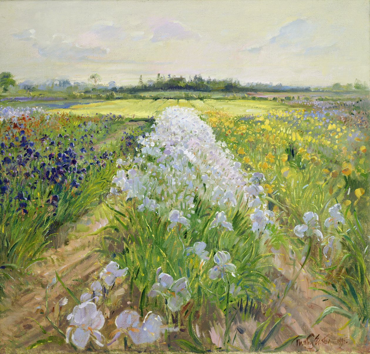 Abaixo da linha, 1995 de Timothy Easton