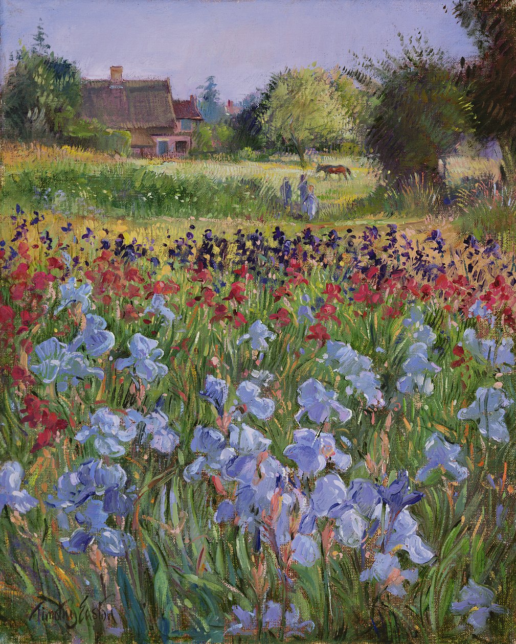 Entrada, para, burgate verde de Timothy Easton
