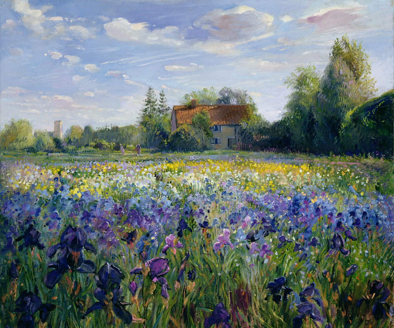 Noite no campo de íris de Timothy Easton