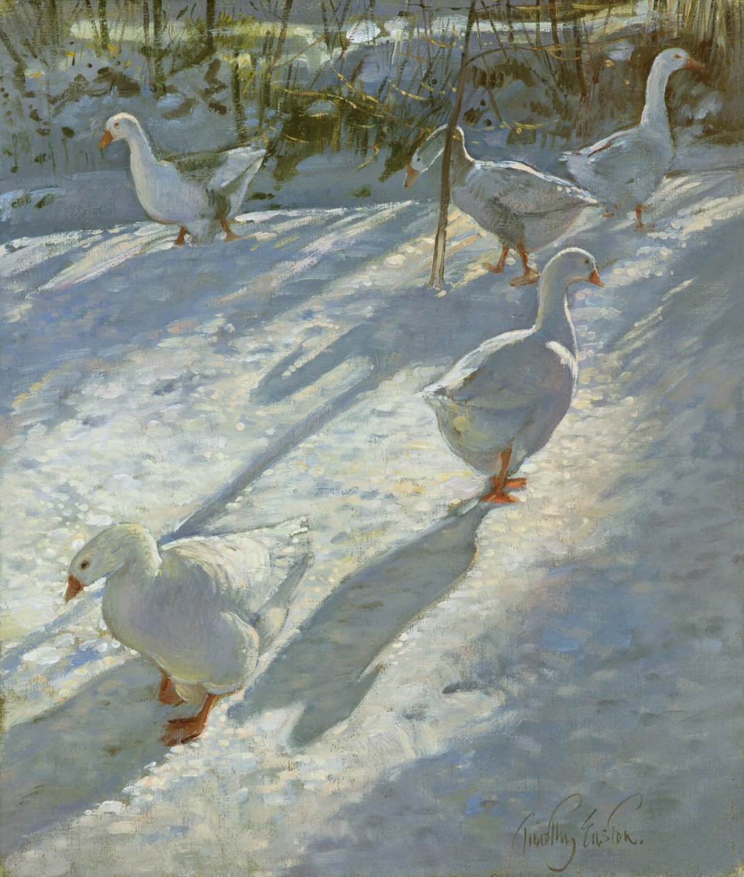 Explorando o declive de Timothy Easton