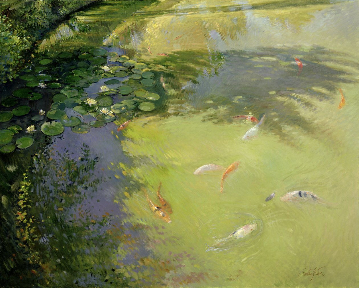 Featherplay de Timothy Easton