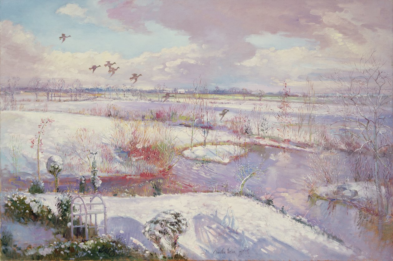 Vôo Down, 1993 de Timothy Easton
