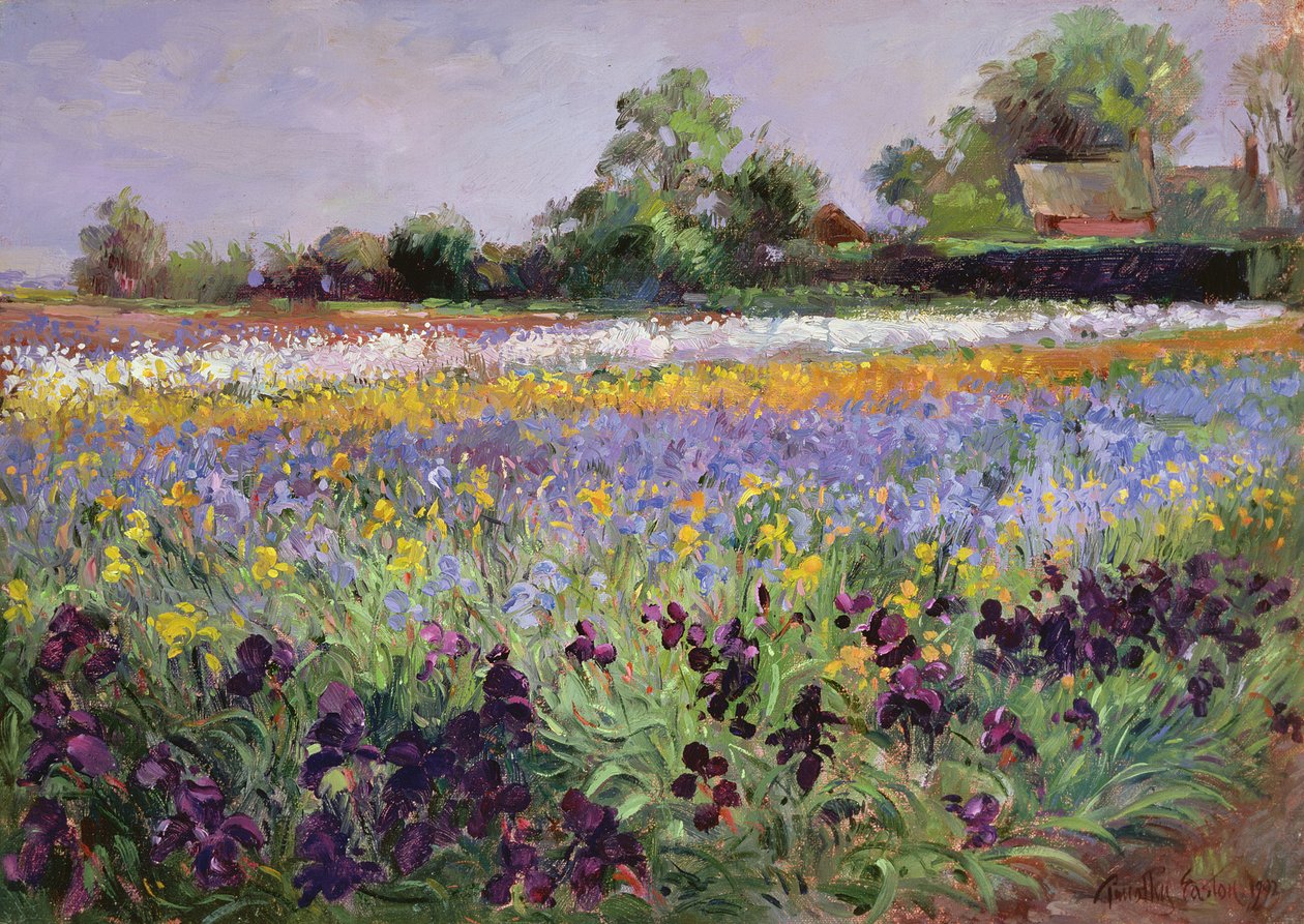 Iris Field e Two Cottages de Timothy Easton