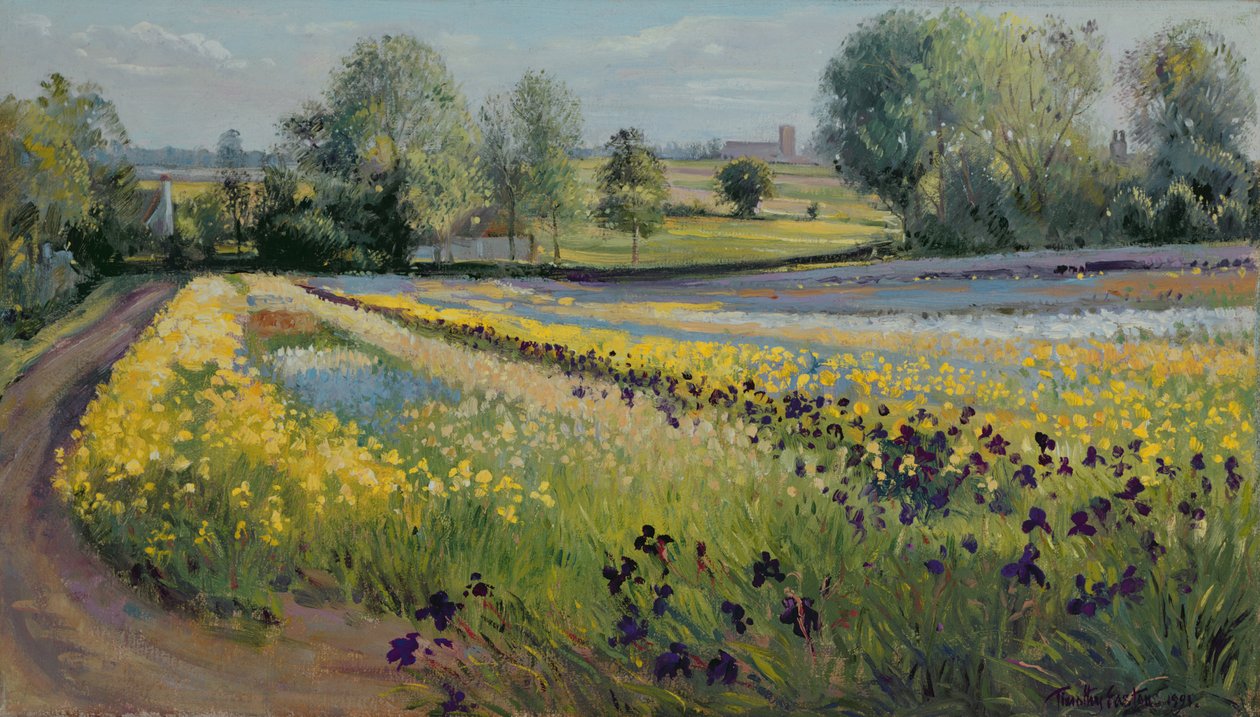 Inclinação da íris, 1991 de Timothy Easton