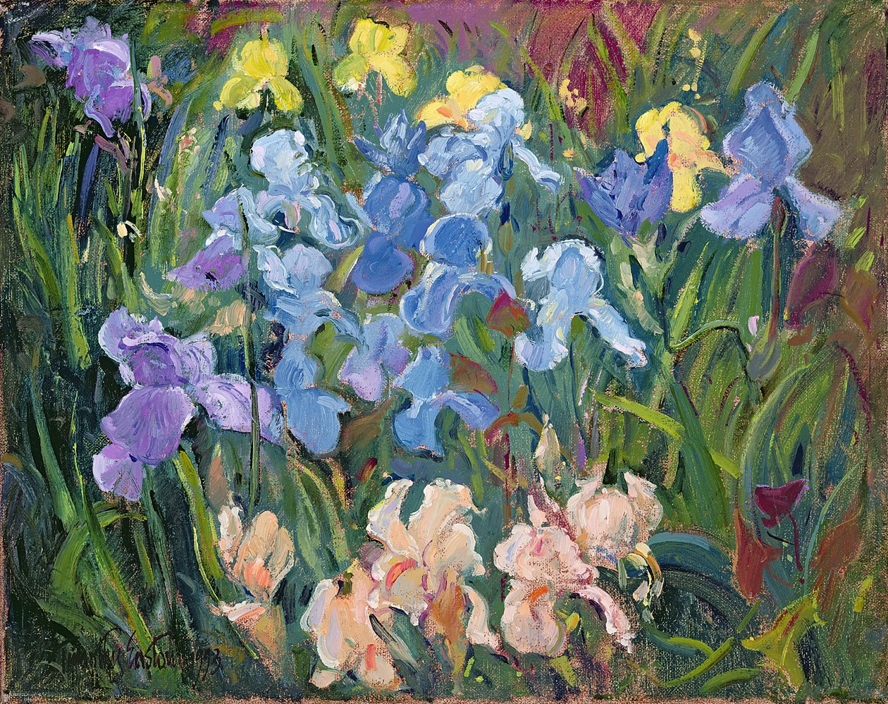 Íris: rosa, azul e ouro, 1993 de Timothy Easton