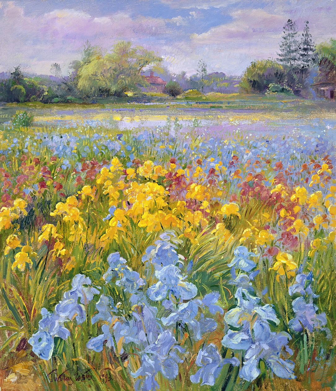 Íris, salgueiro e abeto, 1993 de Timothy Easton