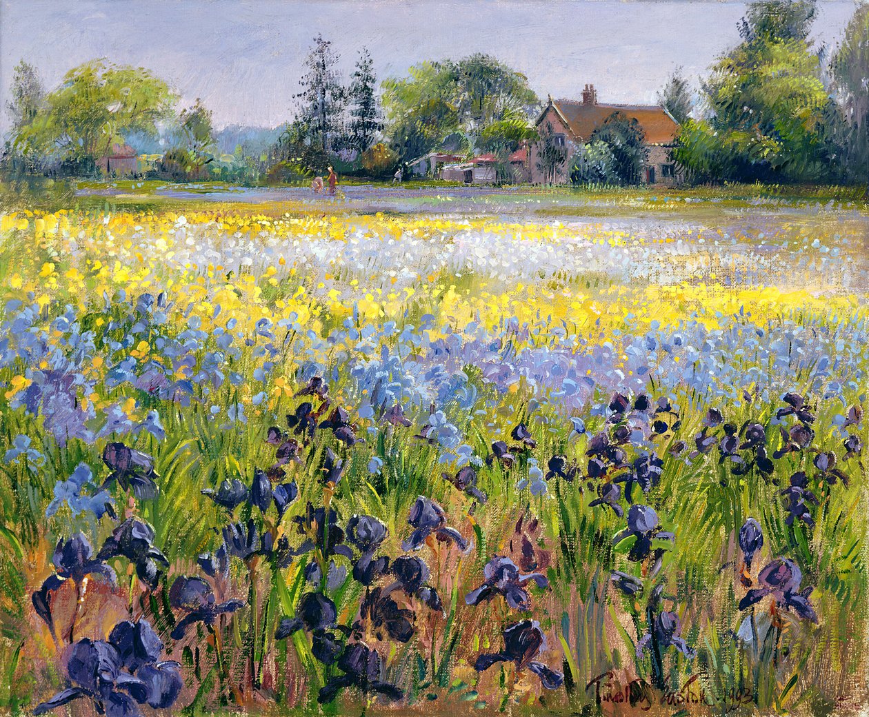Íris e dois abetos, 1993 de Timothy Easton