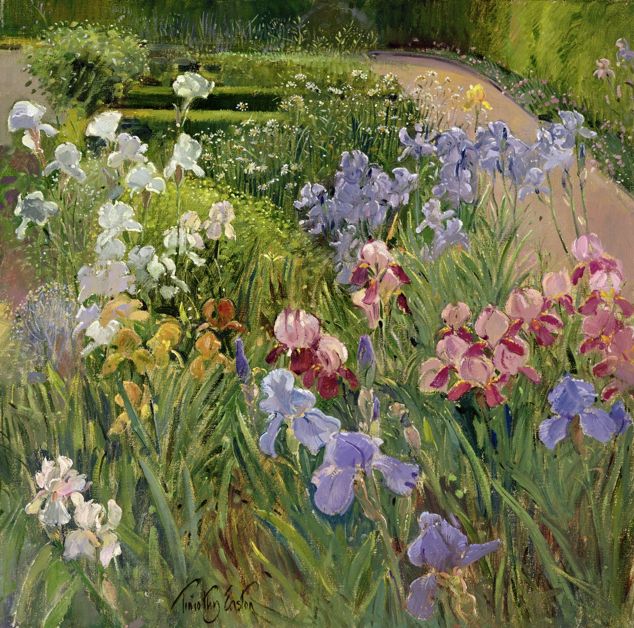 Íris em Bedfield de Timothy Easton