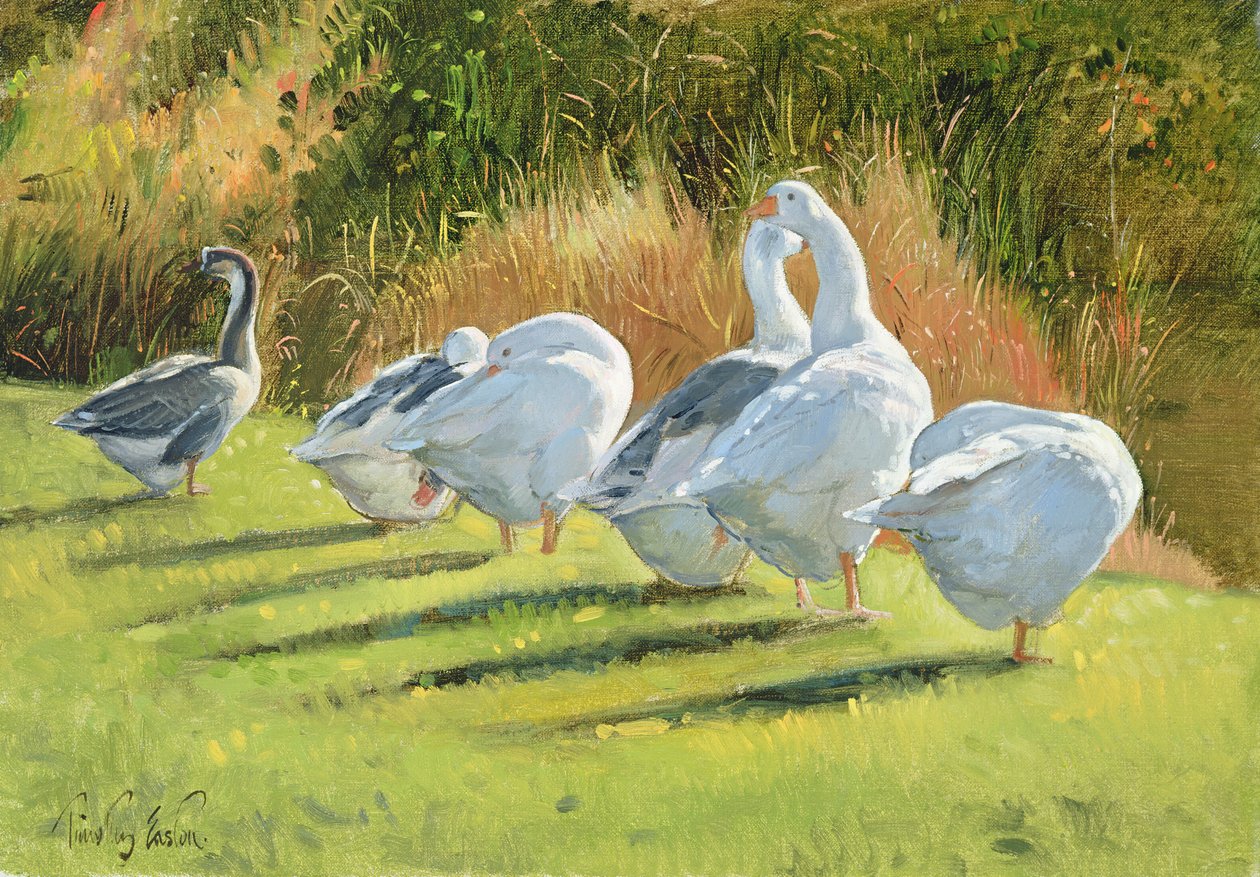 Borda do Fosso, Bedfield de Timothy Easton