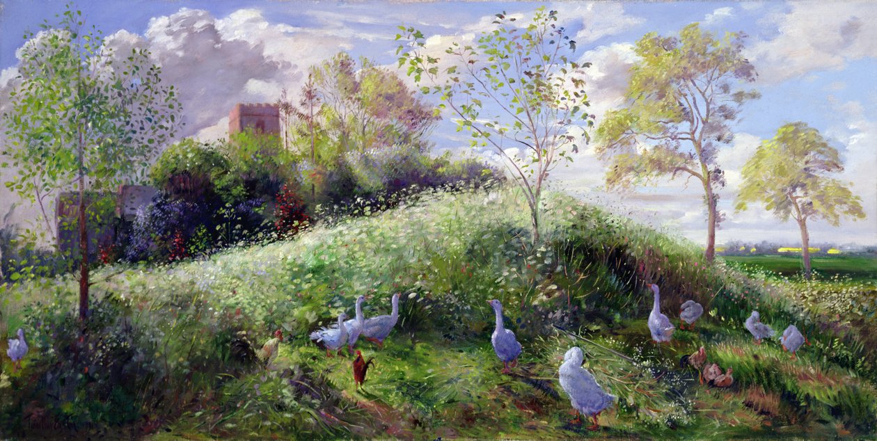 Monte em maio de Timothy Easton