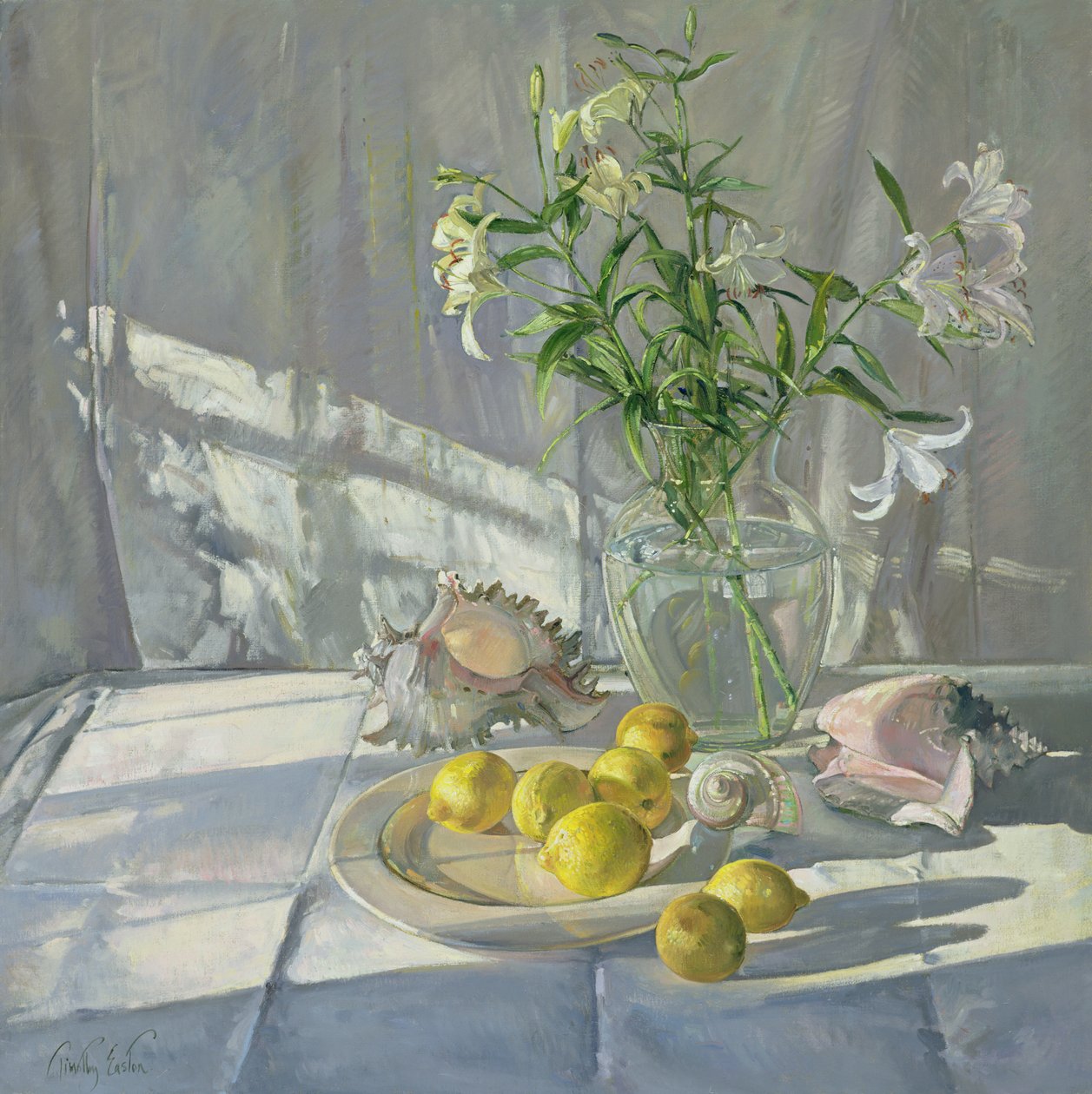 Reflexões e Sombras de Timothy Easton