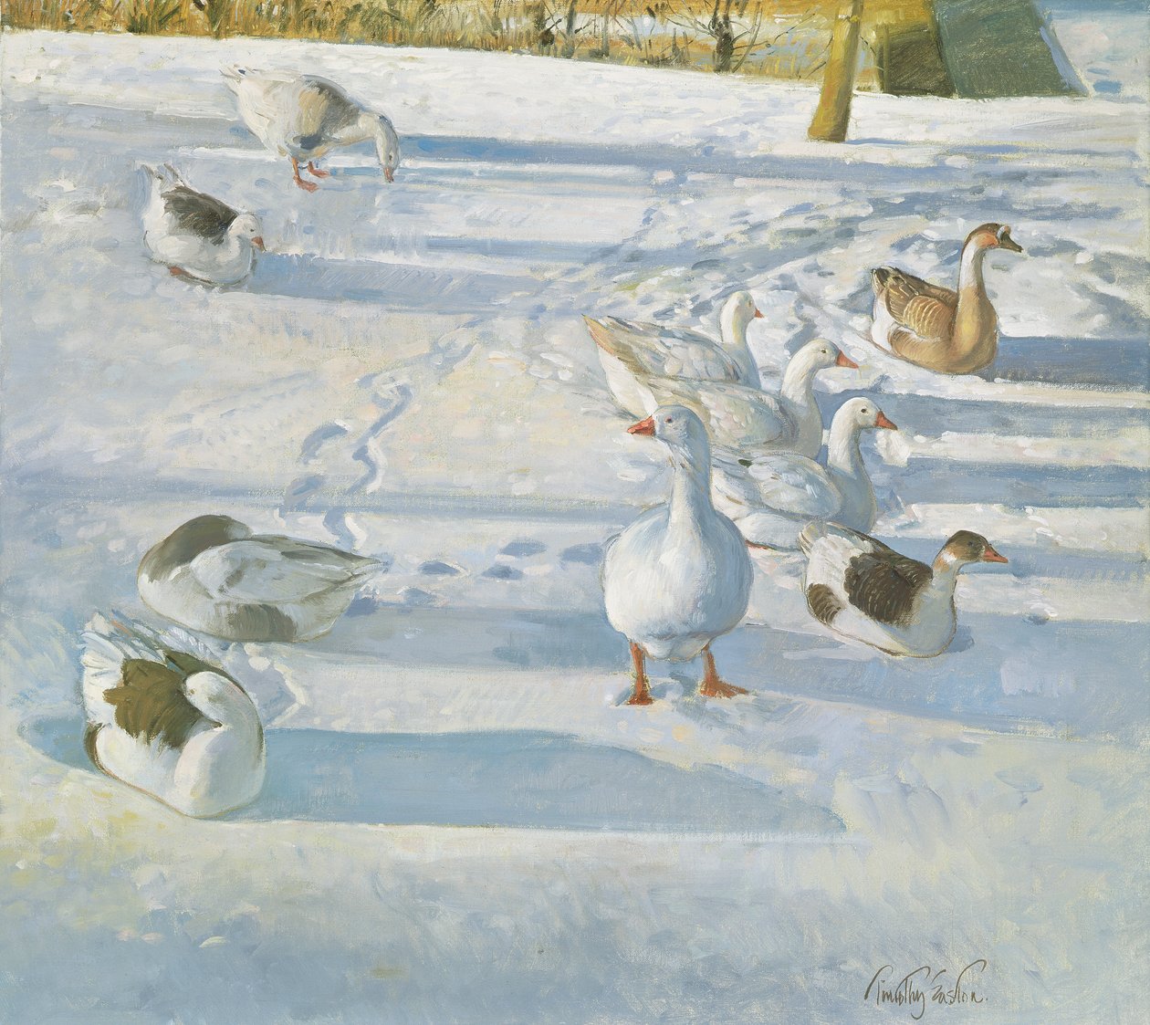 Descansando no declive de Timothy Easton