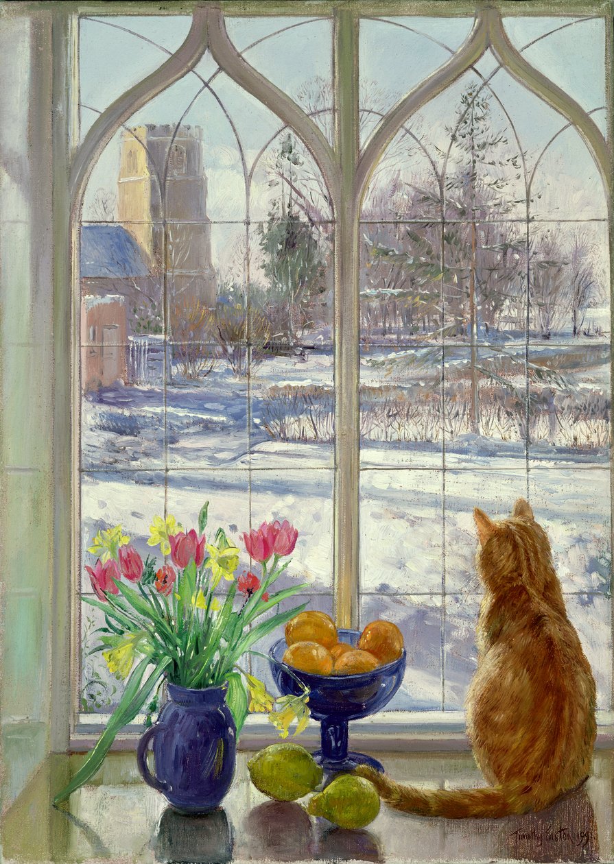 Sombras de neve e gato de Timothy Easton
