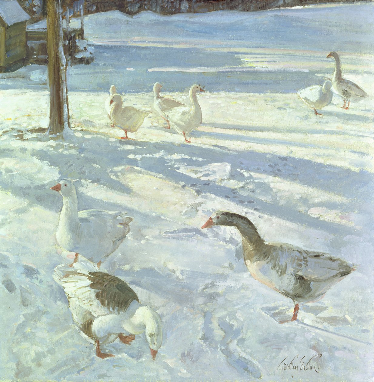 Snowfeeders, 1999 de Timothy Easton