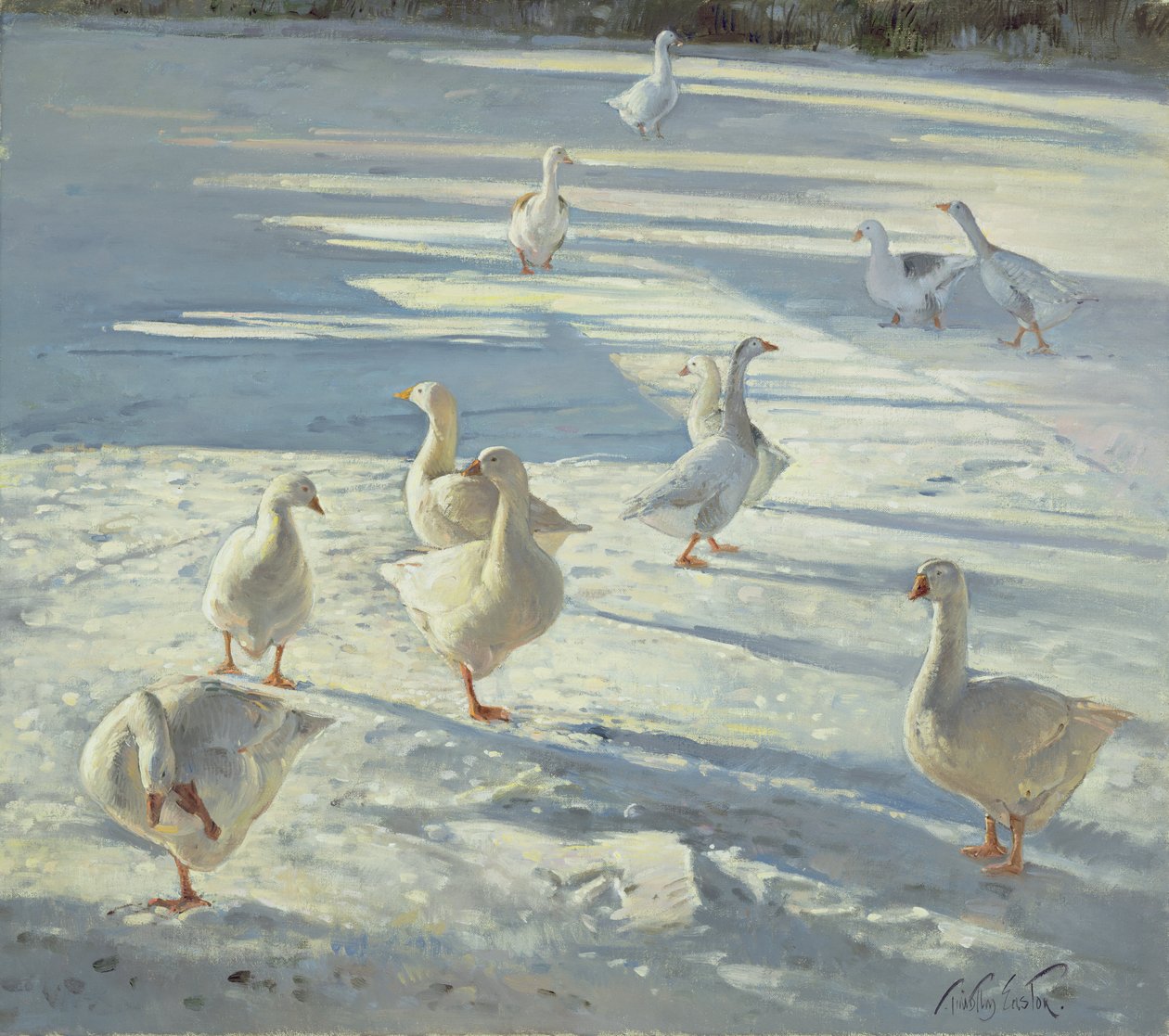 A coleta de Timothy Easton