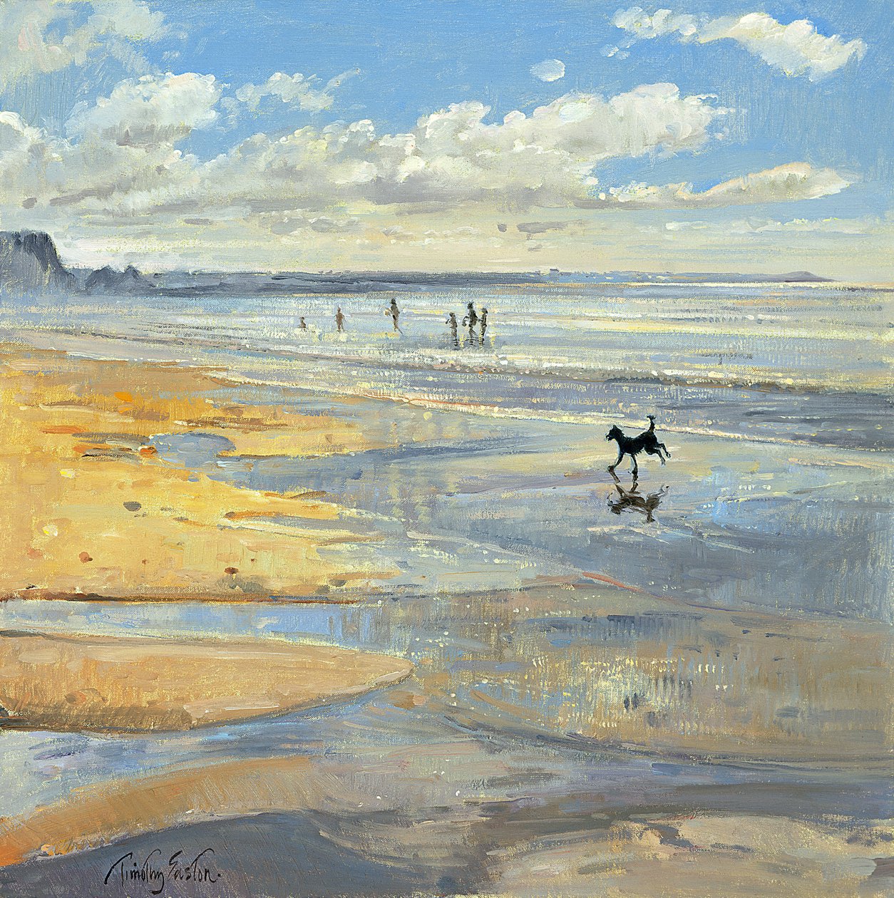 O pequeno Acrobat de Timothy Easton