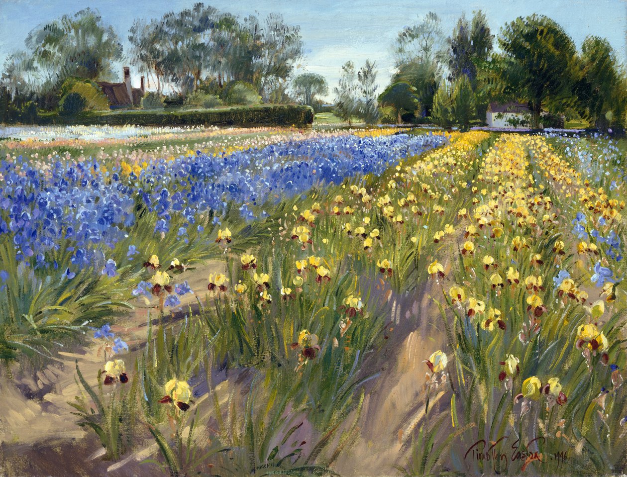 Em direção ao celeiro branco, 1996 de Timothy Easton