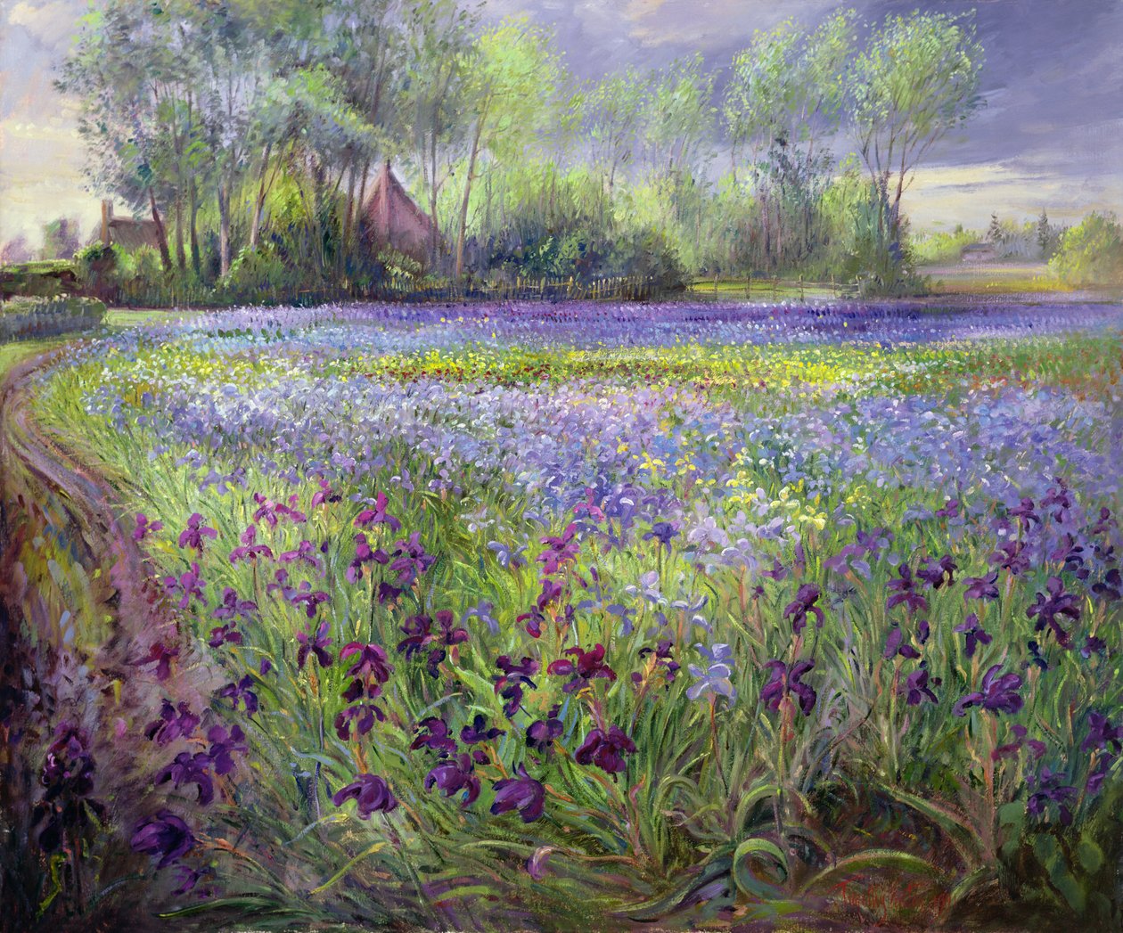 Caminho passando pelo campo de íris, 1991 de Timothy Easton