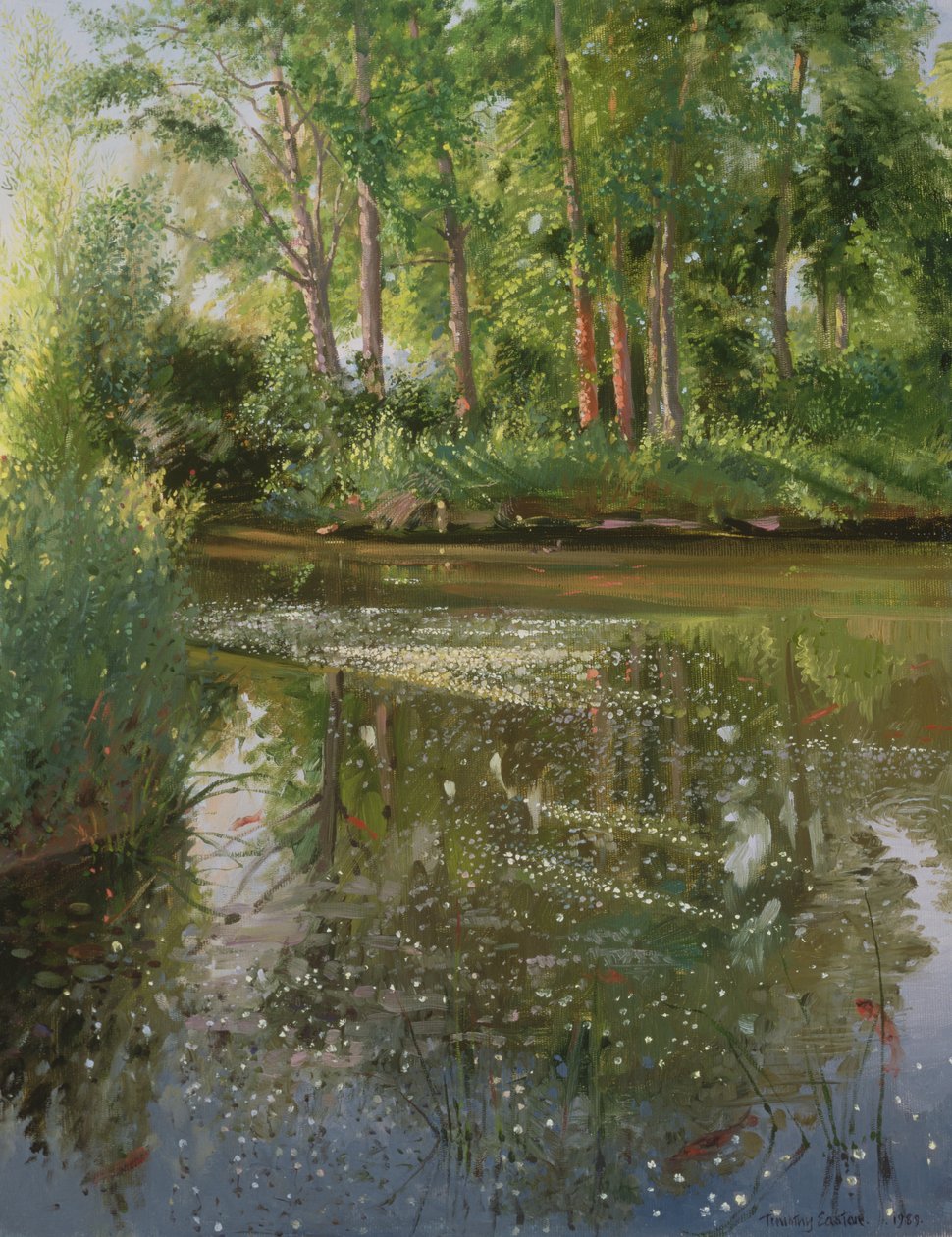 Waterflowers ao nascer do sol de Timothy Easton
