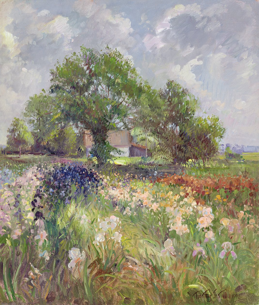 Celeiro Branco e Iris Field, 1992 de Timothy Easton