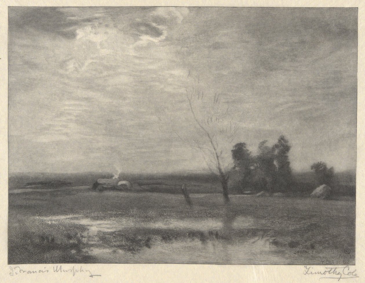 paisagem, tarde de Timothy Cole