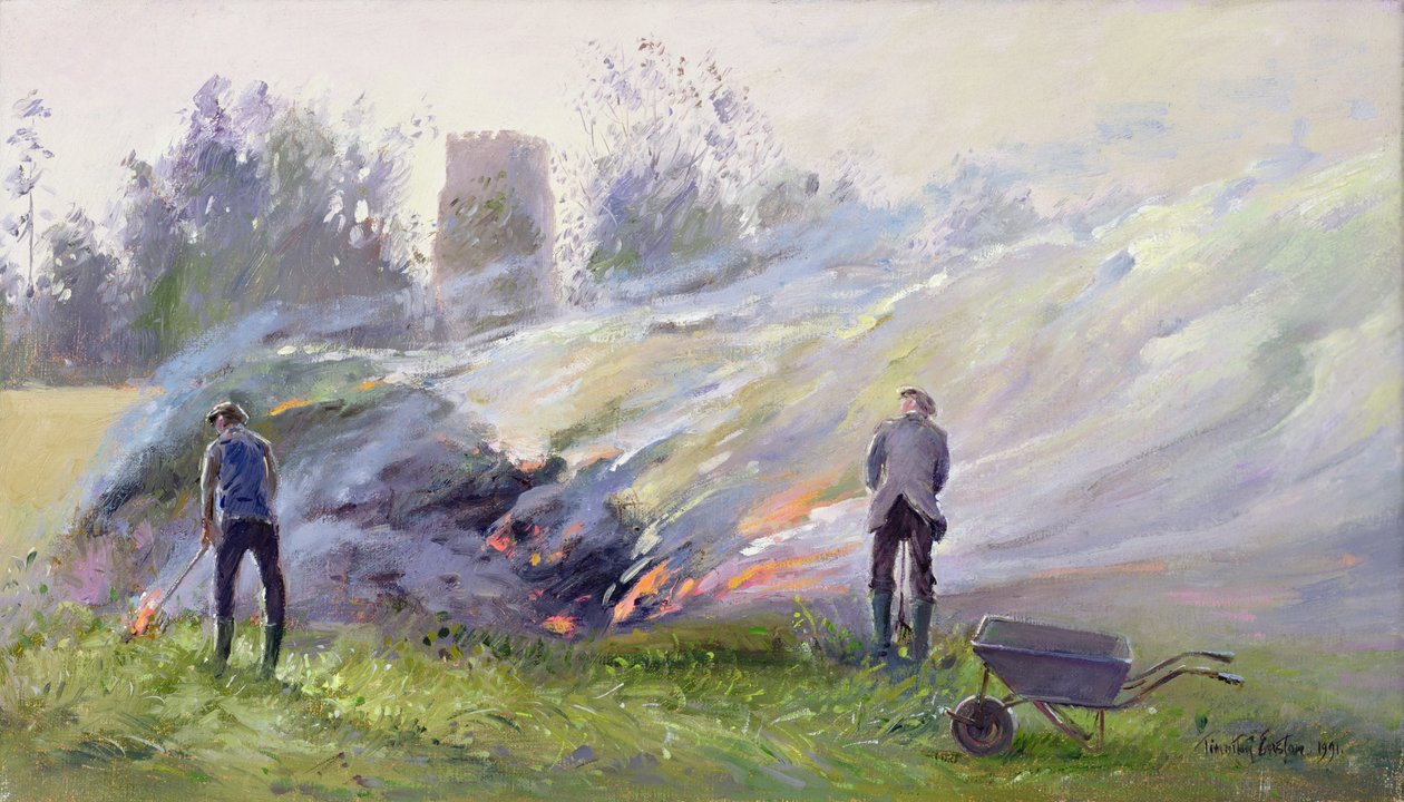 Fogueira de Outono de Timothy Easton