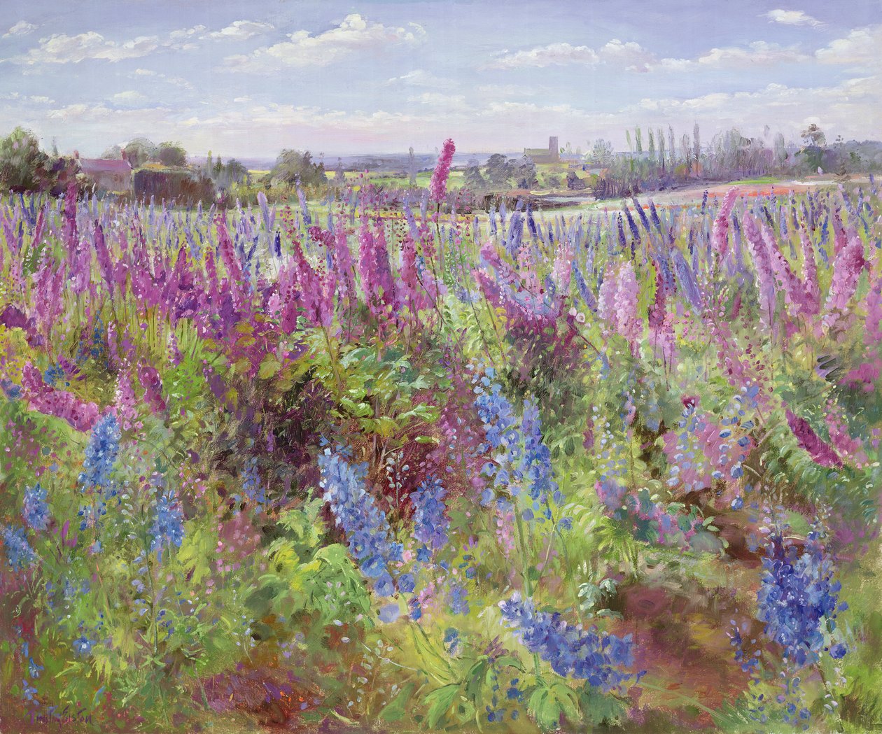 Campo Delphinium e Igreja de Timothy Easton