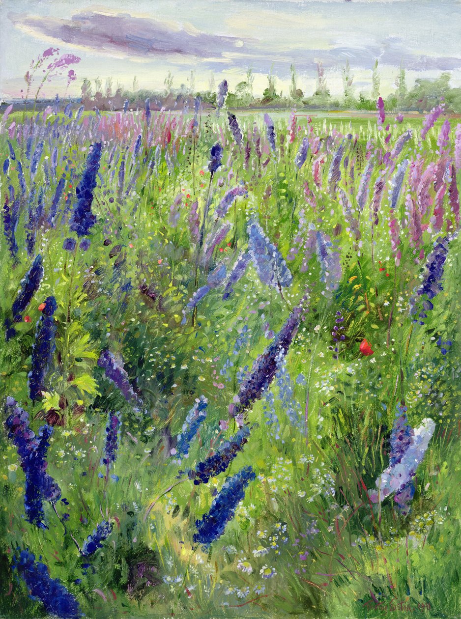 Delphiniums e Sol Emergente de Timothy Easton