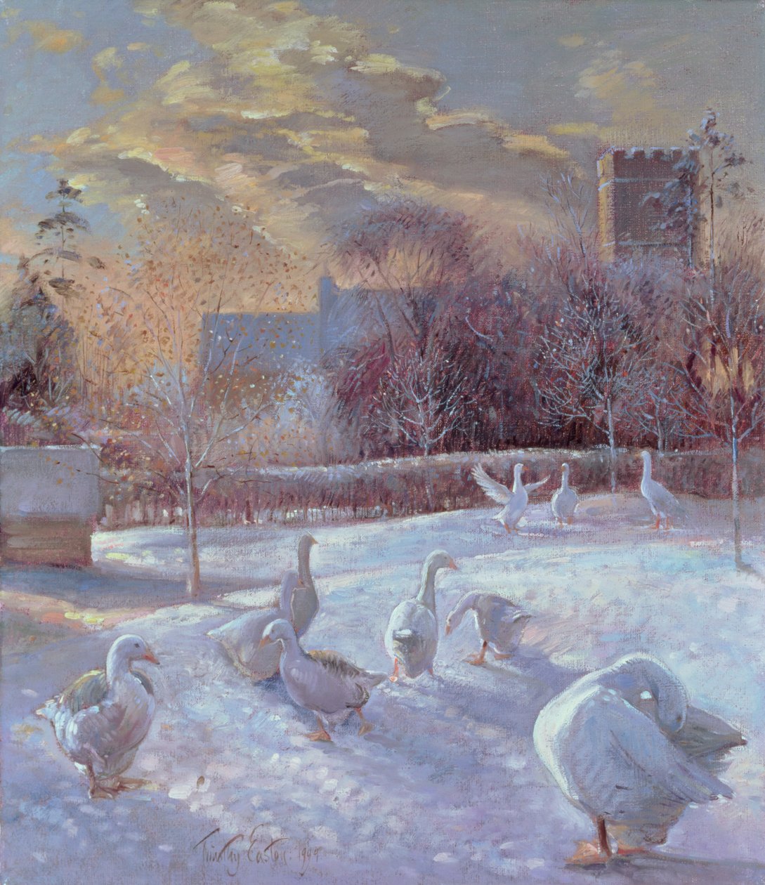 Primeira luz, 1994 de Timothy Easton