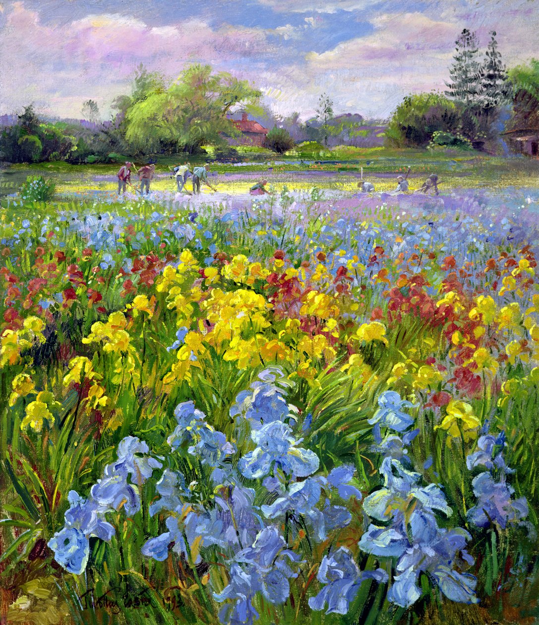 Equipe de enxada e campos de íris de Timothy Easton