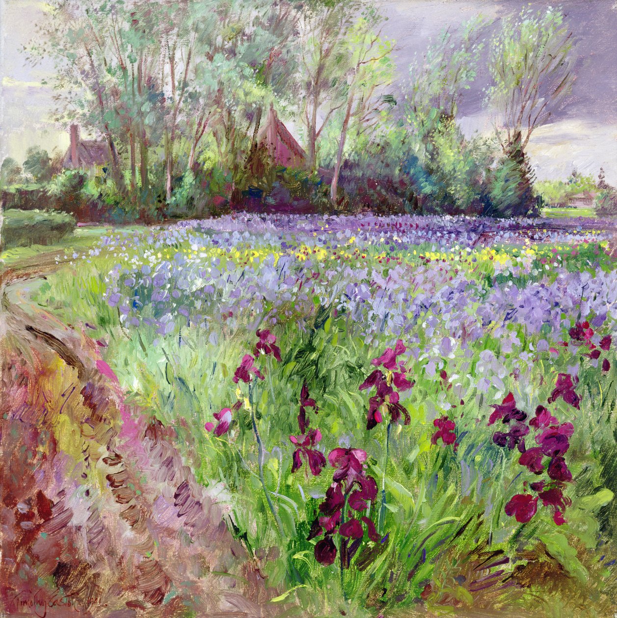 Campo de Íris, Encontro de Tempestades de Timothy Easton