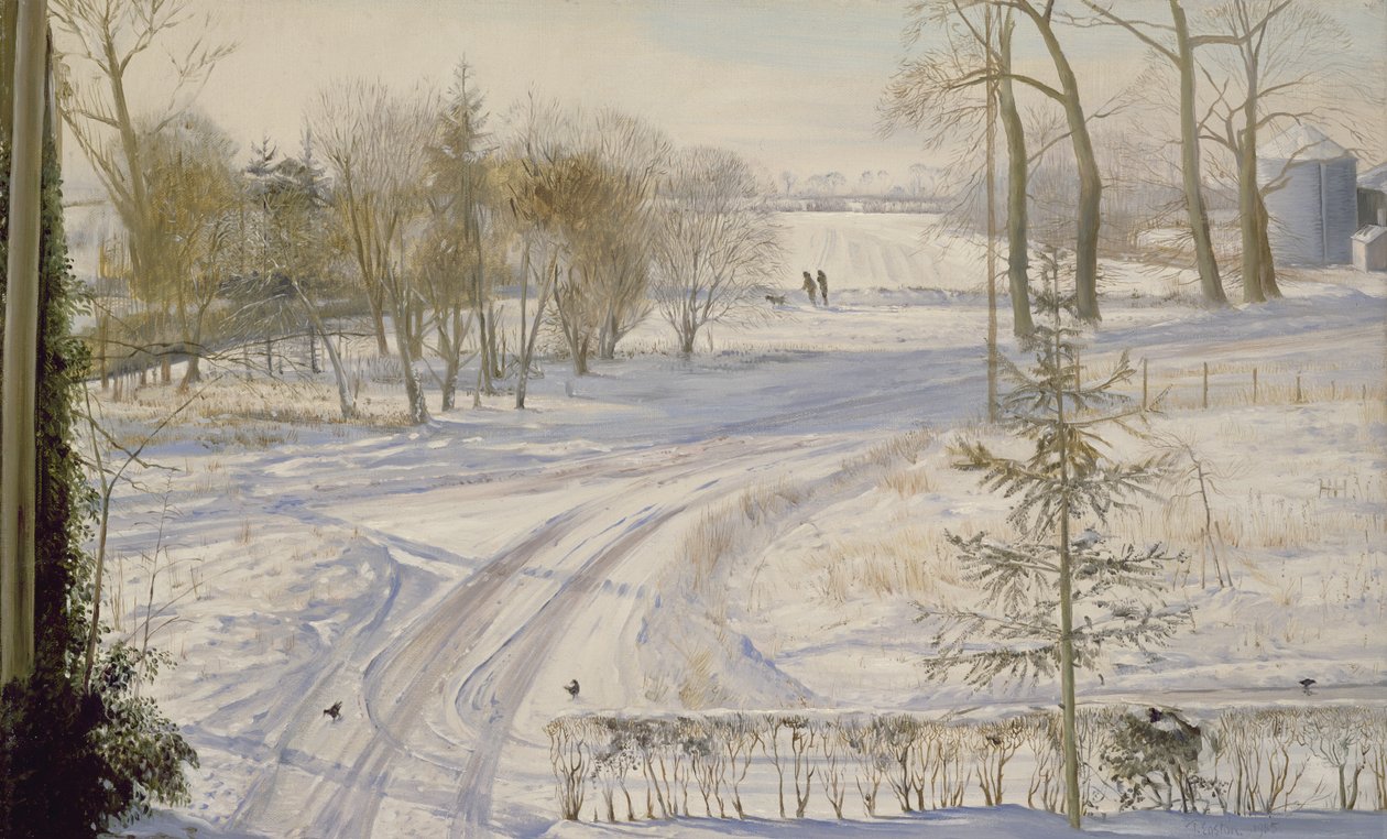 Pesquisando Moorhens de Timothy Easton