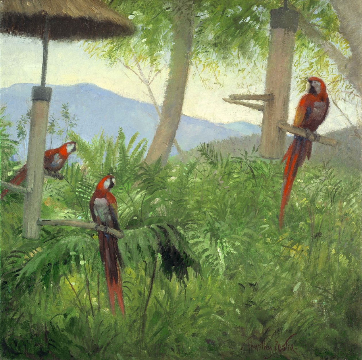 Pássaros da montanha, 2001 (óleo sobre tela) de Timothy Easton