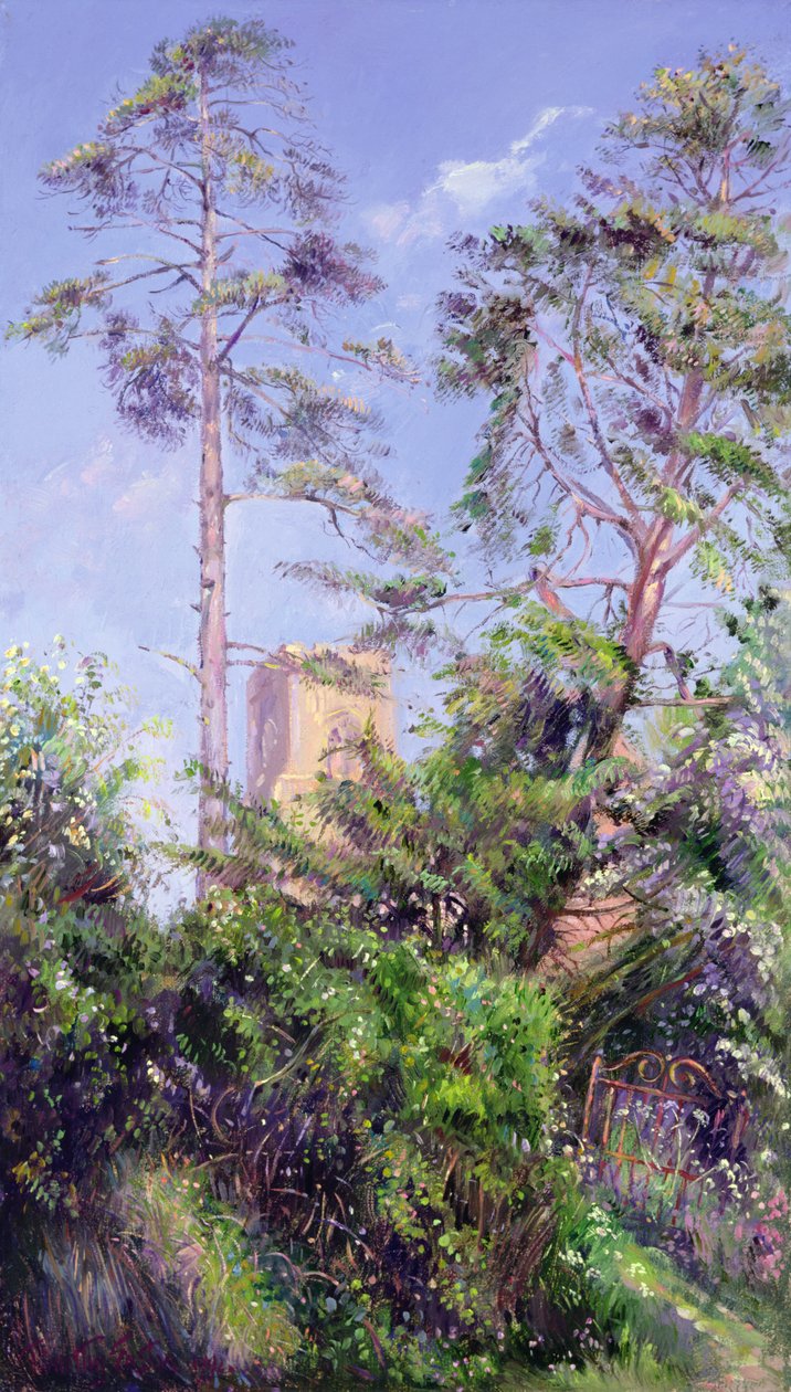 Pinhal e Torre de Timothy Easton